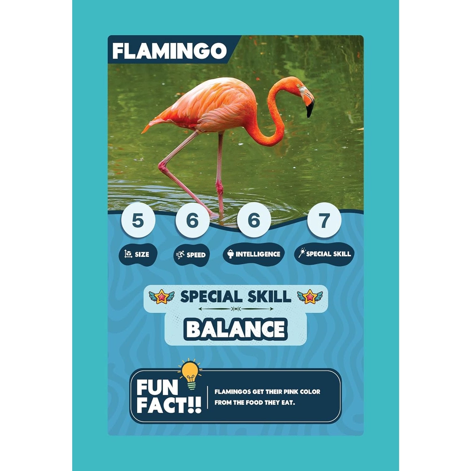 SPECTRA MOM Clash Cards - Animal Kingdom | 40 Play & Learn Theme Based Trump Cards | Unlimited Ways to Play | No Screen Fun | Family Games Night | Players 2-5 | Ages 4-99