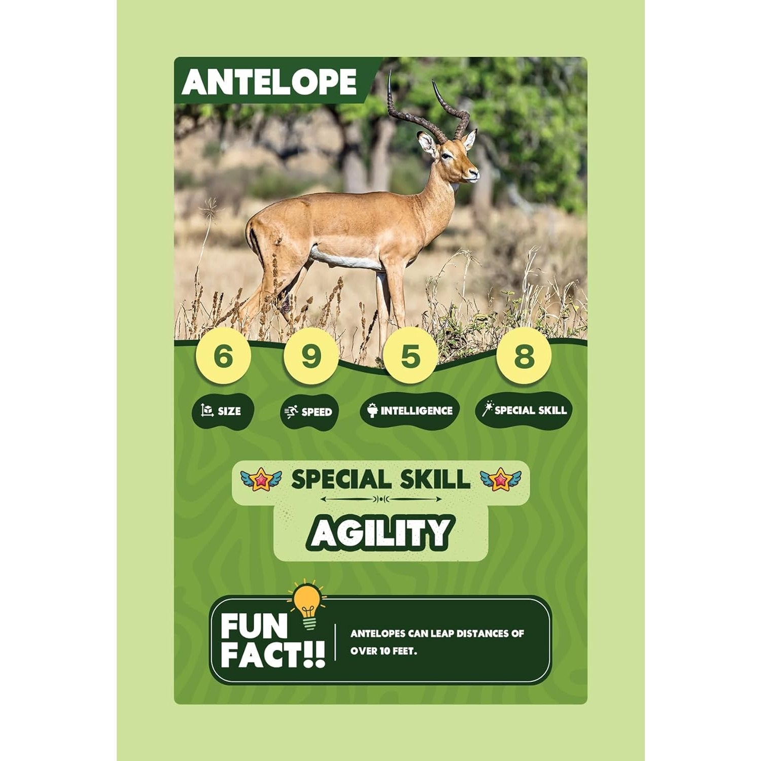 SPECTRA MOM Clash Cards - Animal Kingdom | 40 Play & Learn Theme Based Trump Cards | Unlimited Ways to Play | No Screen Fun | Family Games Night | Players 2-5 | Ages 4-99