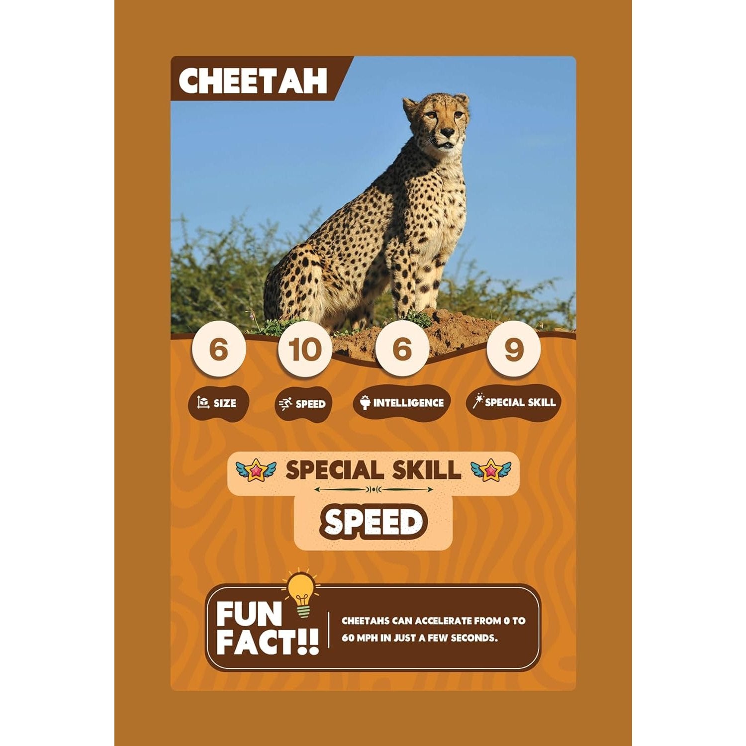 SPECTRA MOM Clash Cards - Animal Kingdom | 40 Play & Learn Theme Based Trump Cards | Unlimited Ways to Play | No Screen Fun | Family Games Night | Players 2-5 | Ages 4-99
