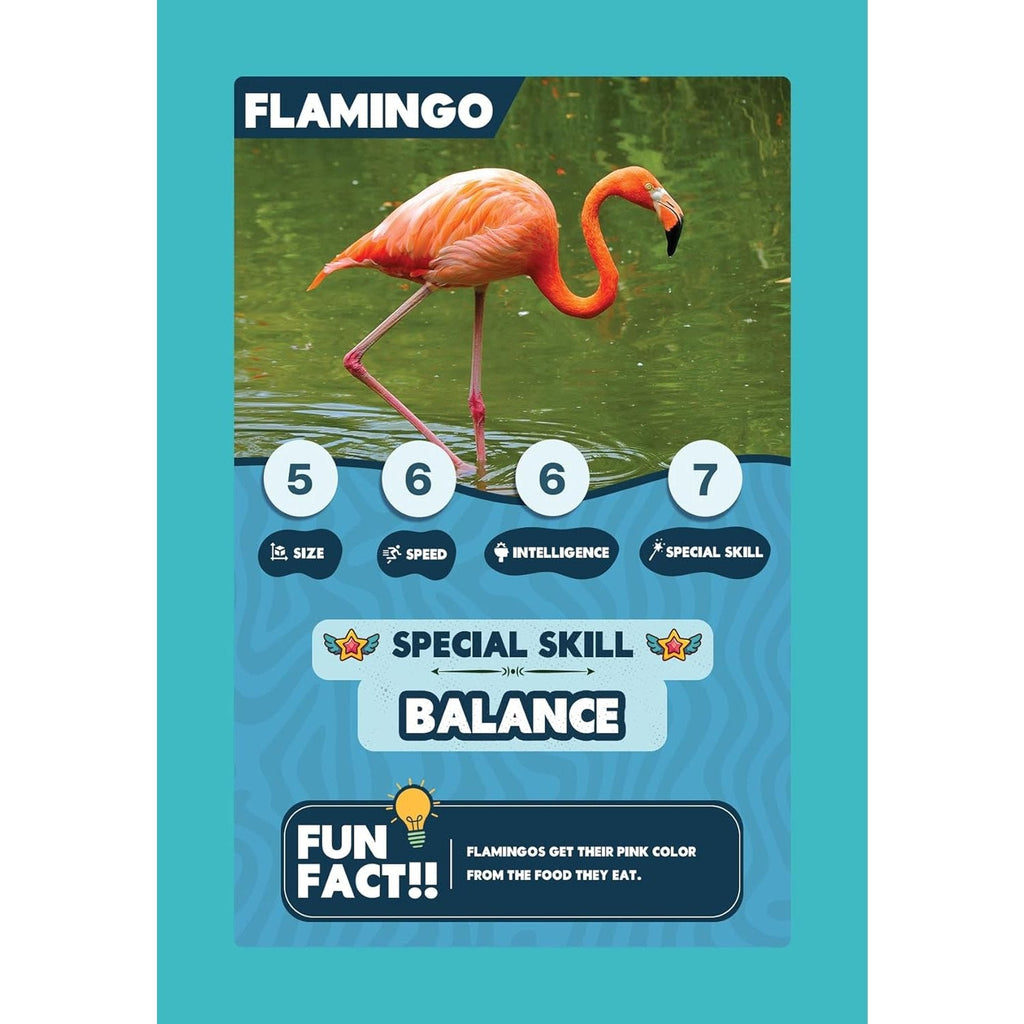 Clash Cards - Animal Kingdom | 40 Play & Learn Theme Based Trump Cards | Unlimited Ways to Play | No Screen Fun | Family Games Night | Players 2 - 5 | Ages 4 - 99 - Spectra Mom